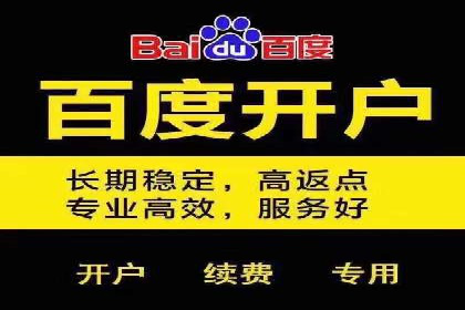 百度推广实战案例：助力企业实现品牌升级